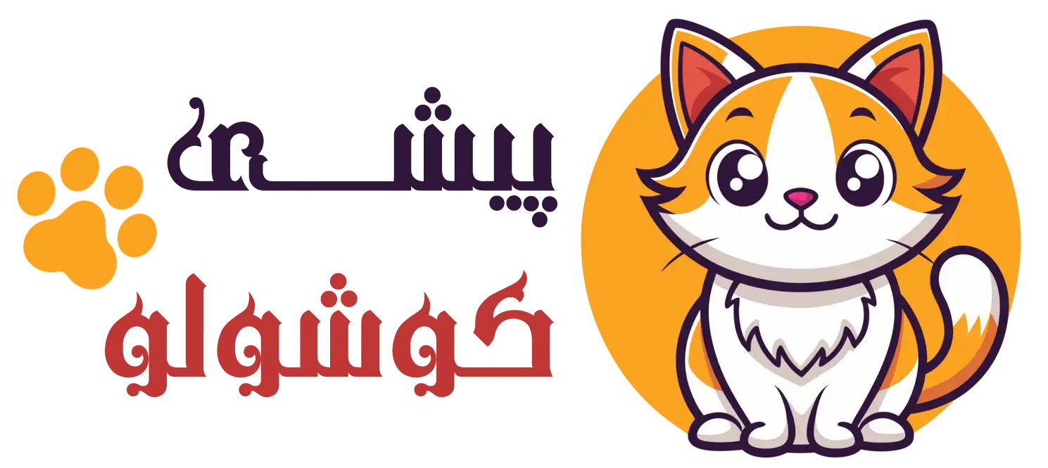 پیشی کوشولو